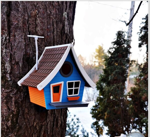 005 Byggesett Tegneserie fuglehuset