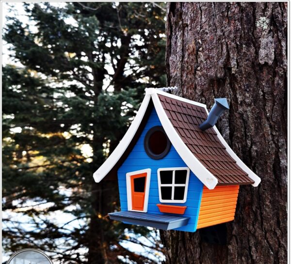 006 Byggesett Tegneserie fuglehuset