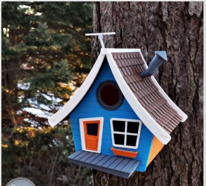 Byggesett Tegneserie fuglehuset