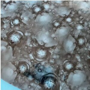 Skjermbilde 2025-11-20 151539 Hydro Dipping Film – Hodeskaller / røyk – 50×100 cm